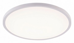 Накладной светильник Natali Kovaltseva PLAIN LED LAMPS 81113/5C в Елабуге - elabuga.ok-mebel.com | фото