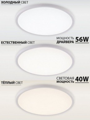 Накладной светильник Natali Kovaltseva PLAIN LED LAMPS 81113/5C в Елабуге - elabuga.ok-mebel.com | фото 3