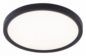 Накладной светильник Natali Kovaltseva PLAIN LED LAMPS 81114/2C в Елабуге - elabuga.ok-mebel.com | фото