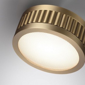 Накладной светильник Odeon Light Manchester 7013/7CL в Елабуге - elabuga.ok-mebel.com | фото 5