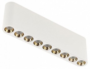 Накладной светильник Odeon Light Small 7091/21CL в Елабуге - elabuga.ok-mebel.com | фото