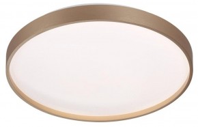 Накладной светильник Sonex Gaby 7783/DL в Елабуге - elabuga.ok-mebel.com | фото 3