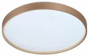Накладной светильник Sonex Gaby 7783/DL в Елабуге - elabuga.ok-mebel.com | фото 4