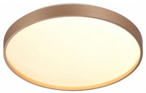 Накладной светильник Sonex Gaby 7783/DL в Елабуге - elabuga.ok-mebel.com | фото 5