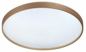 Накладной светильник Sonex Gaby 7783/EL в Елабуге - elabuga.ok-mebel.com | фото 4