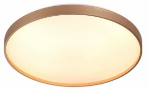 Накладной светильник Sonex Gaby 7783/EL в Елабуге - elabuga.ok-mebel.com | фото 5