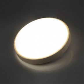 Накладной светильник Sonex Losta 7607/AL в Елабуге - elabuga.ok-mebel.com | фото 3