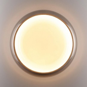Накладной светильник Sonex PORTMAN 7777/DLN в Елабуге - elabuga.ok-mebel.com | фото 6
