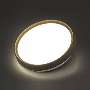 Накладной светильник Sonex Woodi 7603/CL в Елабуге - elabuga.ok-mebel.com | фото 3