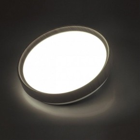 Накладной светильник Sonex Woodi 7627/CL в Елабуге - elabuga.ok-mebel.com | фото 3