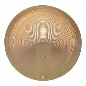 Накладной светильник ST-Luce Fossil SL6900.501.16 в Елабуге - elabuga.ok-mebel.com | фото 2