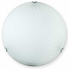 Накладной светильник TopLight Wifa TL9142Y-00WH в Елабуге - elabuga.ok-mebel.com | фото