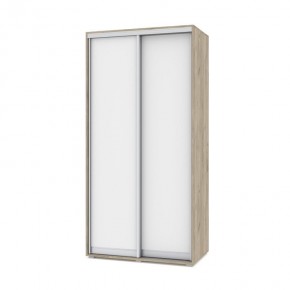 ОЛИВИЯ О41 Шкаф-купе (дуб серый/белый) в Елабуге - elabuga.ok-mebel.com | фото