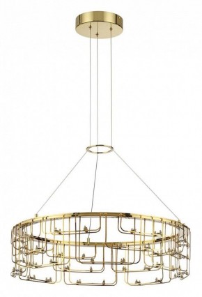 Подвесная люстра Odeon Light ZAHA 7060/44L в Елабуге - elabuga.ok-mebel.com | фото 2
