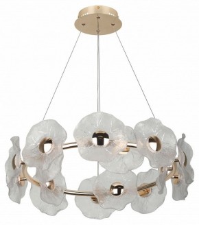 Подвесная люстра Rivoli Shannon Б0061947 в Елабуге - elabuga.ok-mebel.com | фото 4