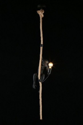 Подвесной светильник Aployt Magali APL.309.16.01 в Елабуге - elabuga.ok-mebel.com | фото 3
