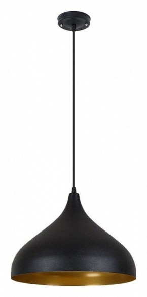 Подвесной светильник Arte Lamp Carmel A7076SP-1BK в Елабуге - elabuga.ok-mebel.com | фото 2