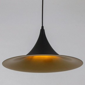 Подвесной светильник Arte Lamp Carmel A7080SP-1BK в Елабуге - elabuga.ok-mebel.com | фото