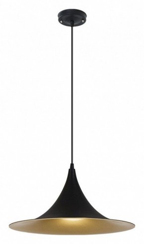 Подвесной светильник Arte Lamp Carmel A7080SP-1BK в Елабуге - elabuga.ok-mebel.com | фото 2