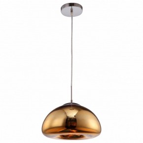 Подвесной светильник Arte Lamp Swift A8041SP-1GO в Елабуге - elabuga.ok-mebel.com | фото 2