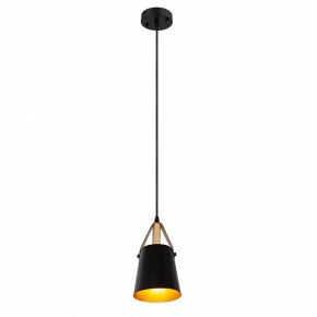 Подвесной светильник Arte Lamp Thomas A7032SP-1BK в Елабуге - elabuga.ok-mebel.com | фото 3