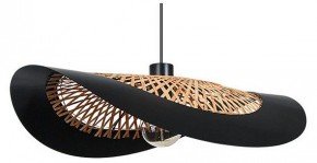 Подвесной светильник Arte Lamp Woodstock A7059SP-1BK в Елабуге - elabuga.ok-mebel.com | фото