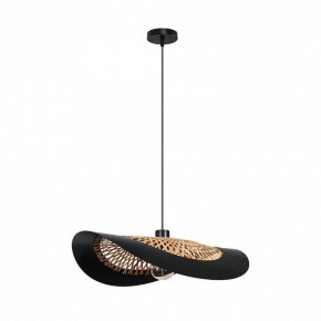 Подвесной светильник Arte Lamp Woodstock A7059SP-1BK в Елабуге - elabuga.ok-mebel.com | фото 2
