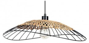 Подвесной светильник Arte Lamp Woodstock A7061SP-1BK в Елабуге - elabuga.ok-mebel.com | фото