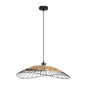 Подвесной светильник Arte Lamp Woodstock A7061SP-1BK в Елабуге - elabuga.ok-mebel.com | фото 2