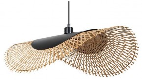 Подвесной светильник Arte Lamp Woodstock A7063SP-1BK в Елабуге - elabuga.ok-mebel.com | фото