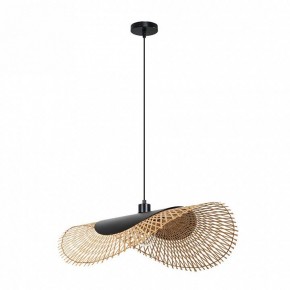 Подвесной светильник Arte Lamp Woodstock A7063SP-1BK в Елабуге - elabuga.ok-mebel.com | фото 2