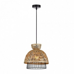 Подвесной светильник Arte Lamp Woodstock A7070SP-1BK в Елабуге - elabuga.ok-mebel.com | фото