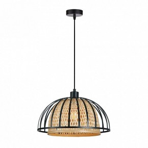 Подвесной светильник Arte Lamp Woodstock A7071SP-1BK в Елабуге - elabuga.ok-mebel.com | фото