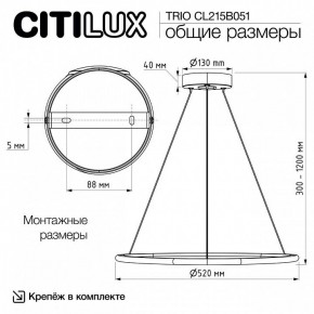 Подвесной светильник Citilux Trio CL215B051 в Елабуге - elabuga.ok-mebel.com | фото 8