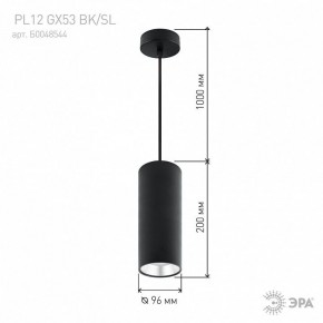 Подвесной светильник Эра  PL12 GX53 BK/SL в Елабуге - elabuga.ok-mebel.com | фото 8