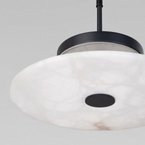 Подвесной светильник Eurosvet Thasos 40342 LED черный в Елабуге - elabuga.ok-mebel.com | фото 8