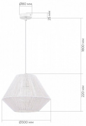 Подвесной светильник EVOLUCE ETTAN SLE6025-503-01 в Елабуге - elabuga.ok-mebel.com | фото 6