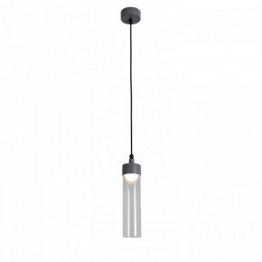 Подвесной светильник Favourite Outdoor 4703-1P в Елабуге - elabuga.ok-mebel.com | фото 3