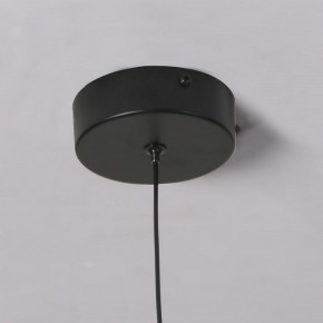Подвесной светильник Favourite Wilet 4656-1P в Елабуге - elabuga.ok-mebel.com | фото 10