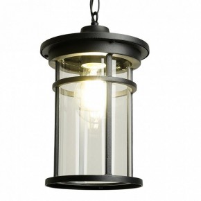 Подвесной светильник Feron PL765 51819 в Елабуге - elabuga.ok-mebel.com | фото 3