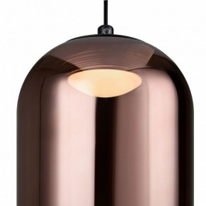 Подвесной светильник Freya Idol FR6134PL-L4C в Елабуге - elabuga.ok-mebel.com | фото 5