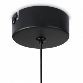 Подвесной светильник Freya Idol FR6134PL-L4SM в Елабуге - elabuga.ok-mebel.com | фото 8