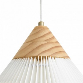 Подвесной светильник Freya Kinsley FR5533PL-01BS в Елабуге - elabuga.ok-mebel.com | фото 8