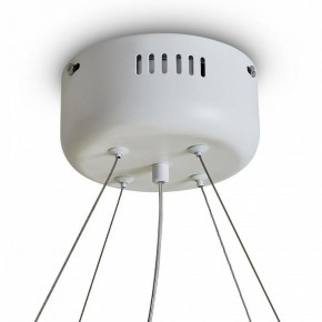 Подвесной светильник Freya Rain FR5546PL-L60W в Елабуге - elabuga.ok-mebel.com | фото 9