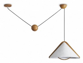 Подвесной светильник Freya Umbra FR5554CL-01T в Елабуге - elabuga.ok-mebel.com | фото