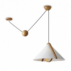 Подвесной светильник Freya Umbra FR5554CL-01T в Елабуге - elabuga.ok-mebel.com | фото 2