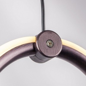 Подвесной светильник Lightstar Caramello 796349 в Елабуге - elabuga.ok-mebel.com | фото 10