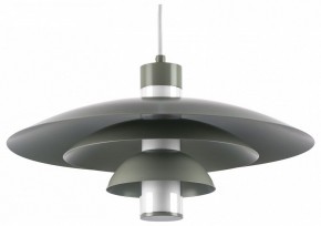 Подвесной светильник Lightstar Erbareo 799019 в Елабуге - elabuga.ok-mebel.com | фото