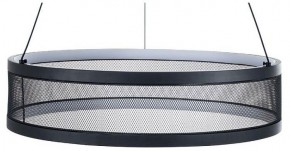 Подвесной светильник Lumion Felisiti 8103/38L в Елабуге - elabuga.ok-mebel.com | фото