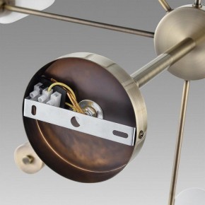 Подвесной светильник Lumion Mave 8100/8C в Елабуге - elabuga.ok-mebel.com | фото 6
